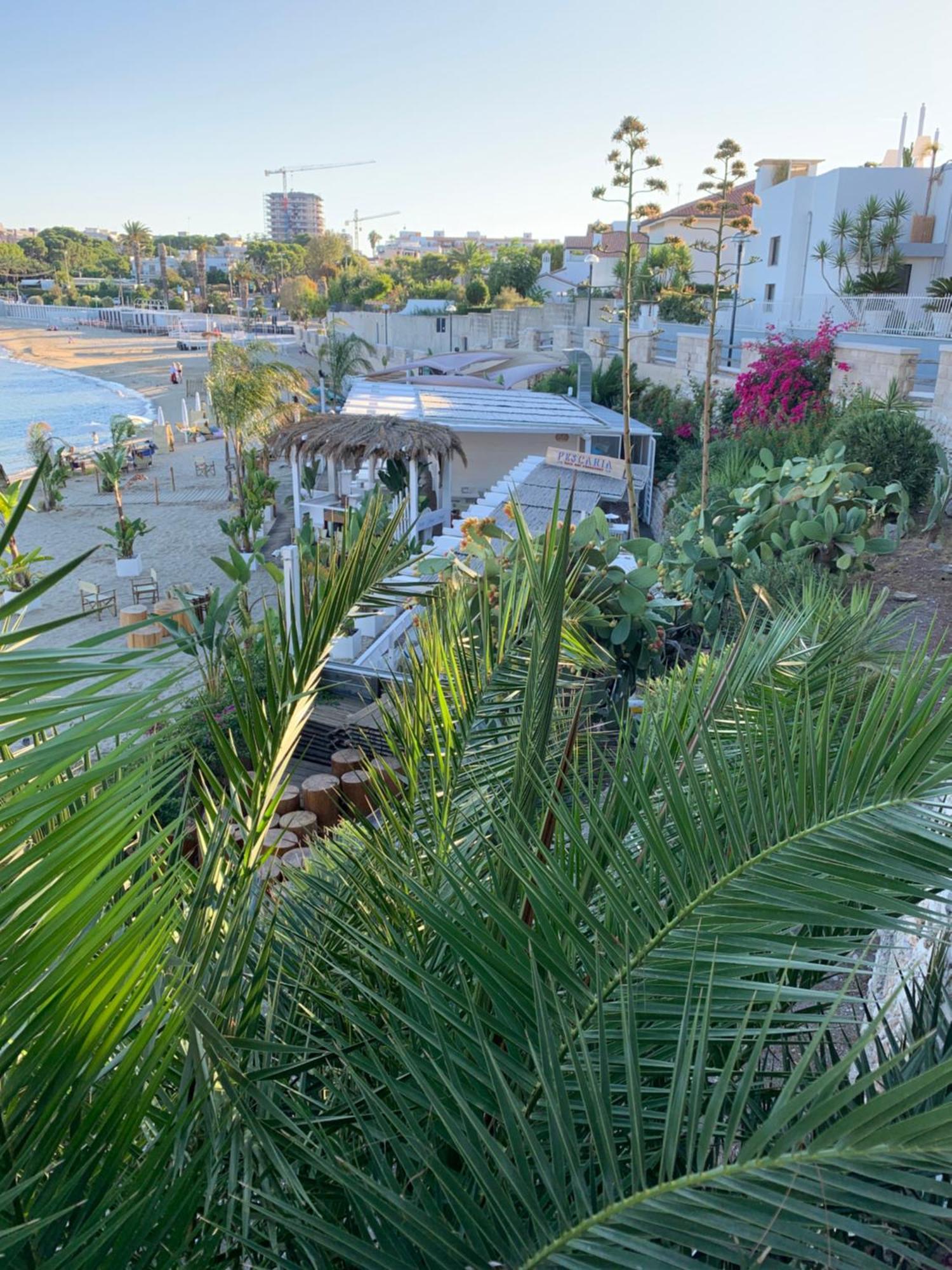 Vischi Apartment Trani By Le Marinelle Loc Turistica Exteriör bild